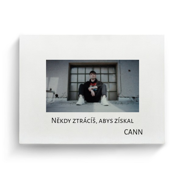 Nemám co ztratit (Plátno)